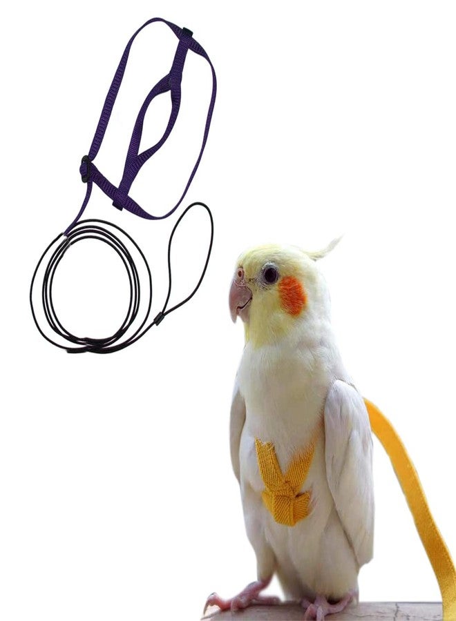 Sage Square Bird Harness Adjustable Durable Reusable Safe Great for Training, Exercise & Playing for Quakers, Senegals, Doves, Medium Parakeets, Rainbow Lorikeets, Rosellas (Random, Extra Small) - Image 1